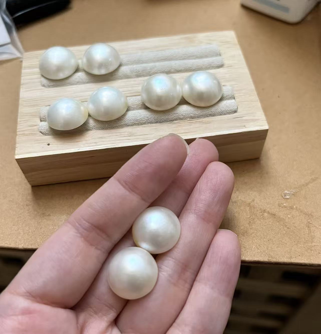 15–16 mm 日本海水馬貝珍珠耳環