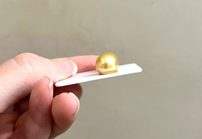 10-11mm South Sea Golden Pearl Earrings (with 18K Gold Post)